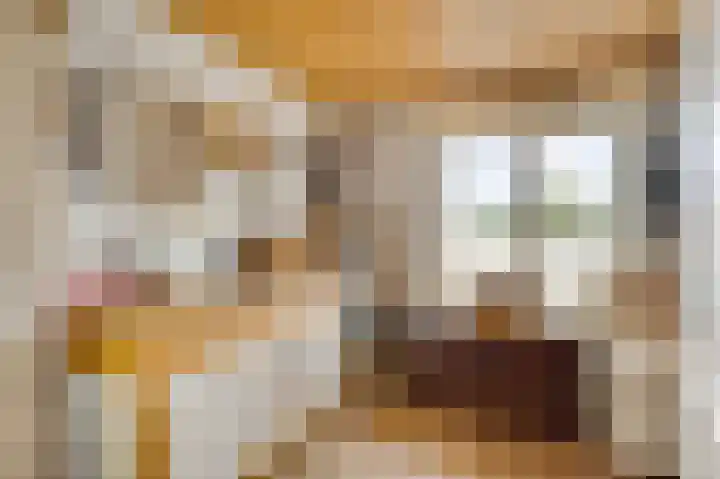 Sint Maartenslaan 31 Stramproy thumbnail 31