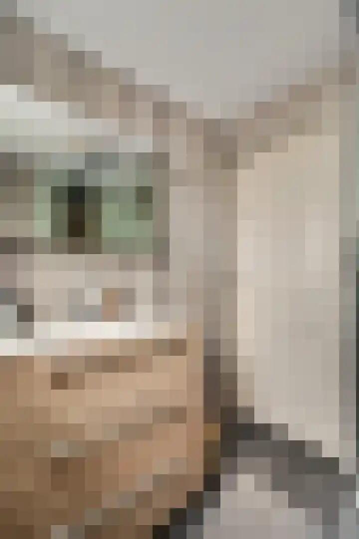 Sint Maartenslaan 31 Stramproy thumbnail 33