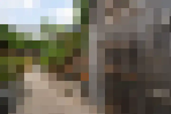 Sint Maartenslaan 31 Stramproy thumbnail 35