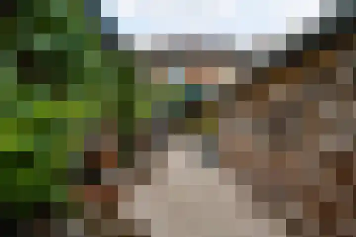 Sint Maartenslaan 31 Stramproy thumbnail 36