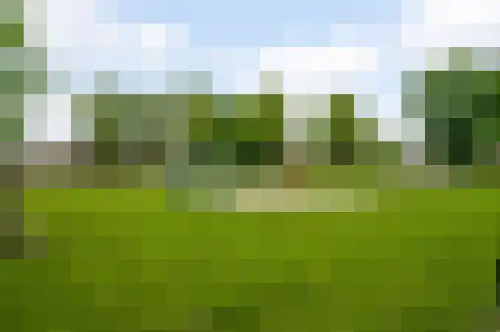 Sint Maartenslaan 31 Stramproy thumbnail 41
