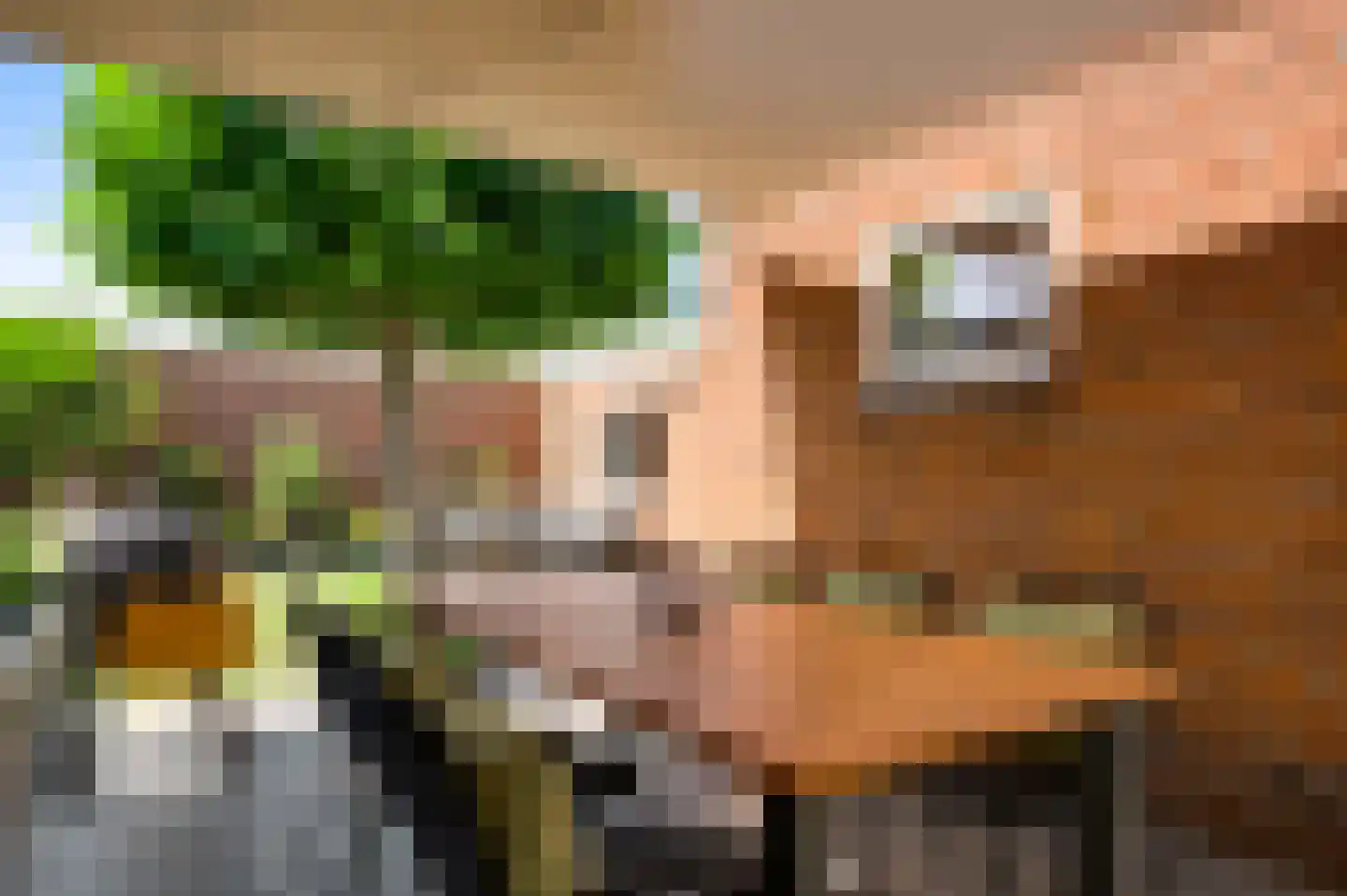 Sint Maartenslaan 35 Stramproy thumbnail 33
