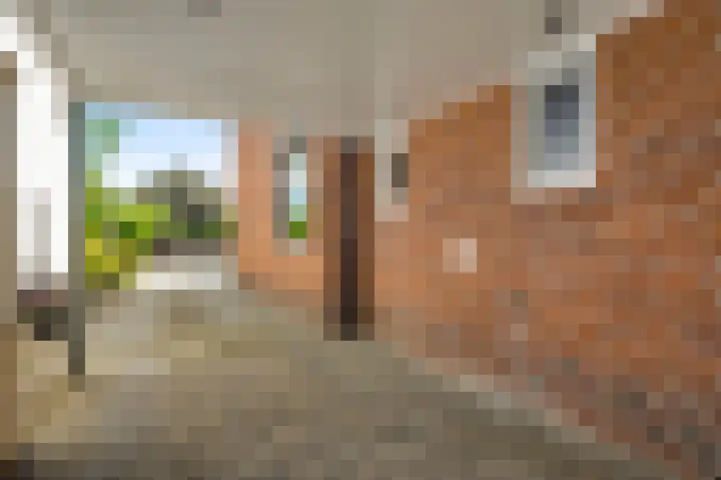 Sint Maartenslaan 35 Stramproy thumbnail 39
