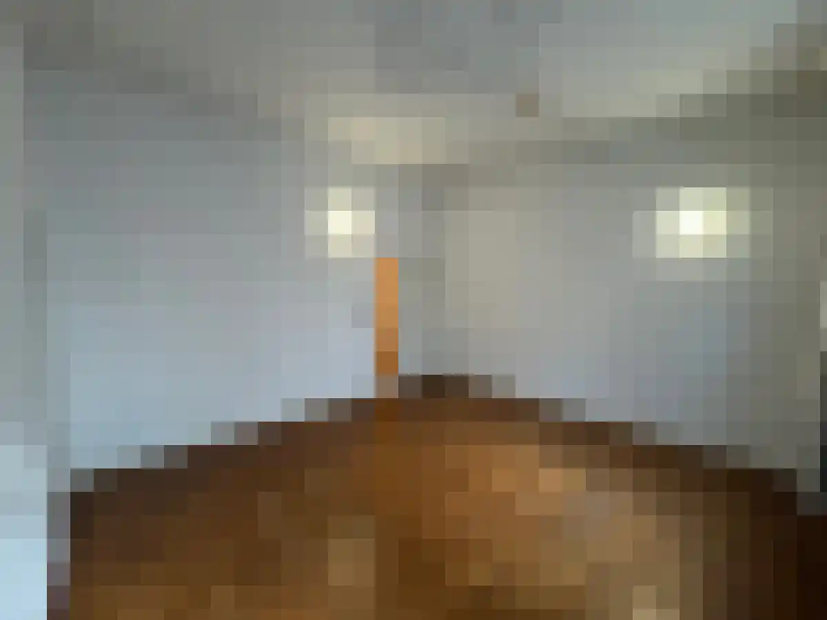 Sint Maartenslaan 4 Maastricht thumbnail 5