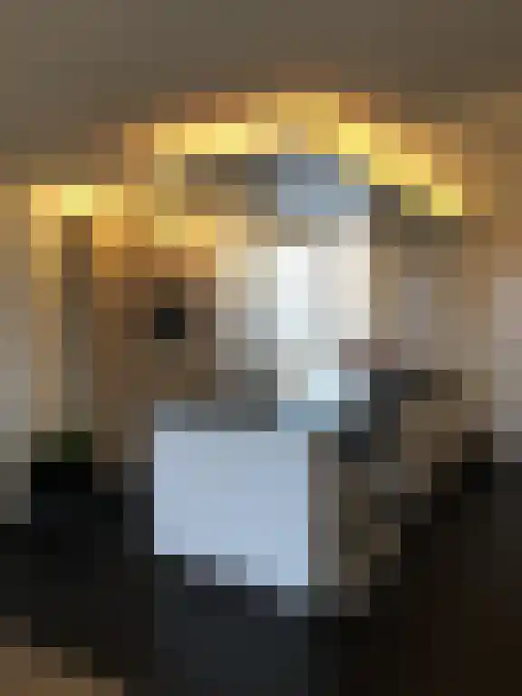 Sint Maartenslaan 73 E Maastricht thumbnail 5