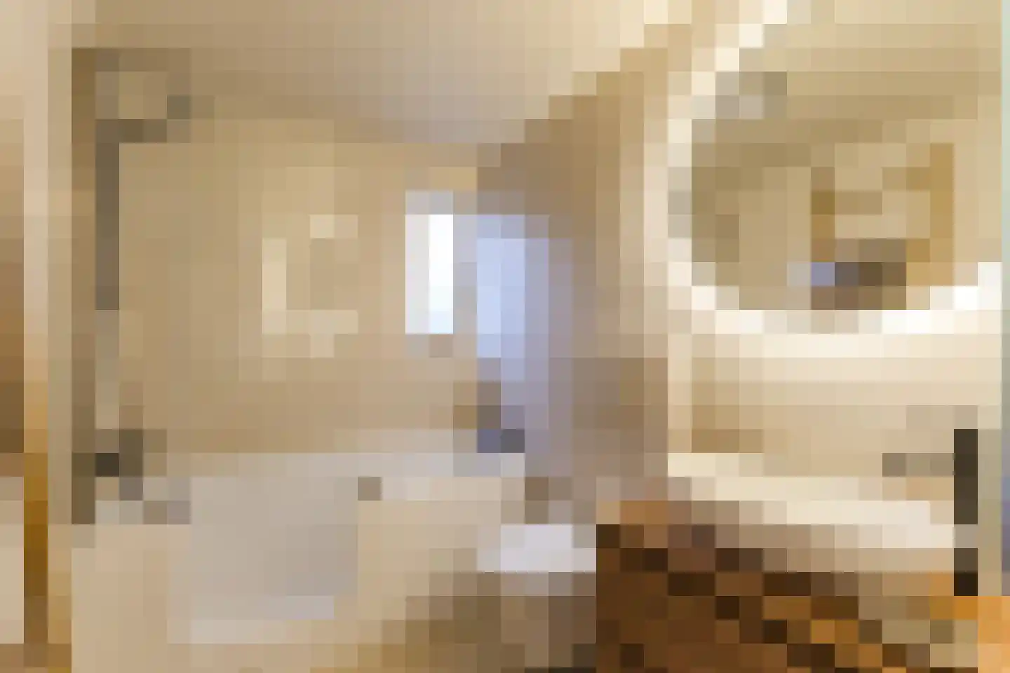 Sint Maartensloop 88 Tilburg thumbnail 26