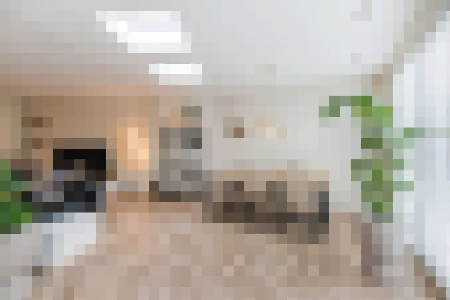 Sint Maartensloop 88 Tilburg thumbnail 8