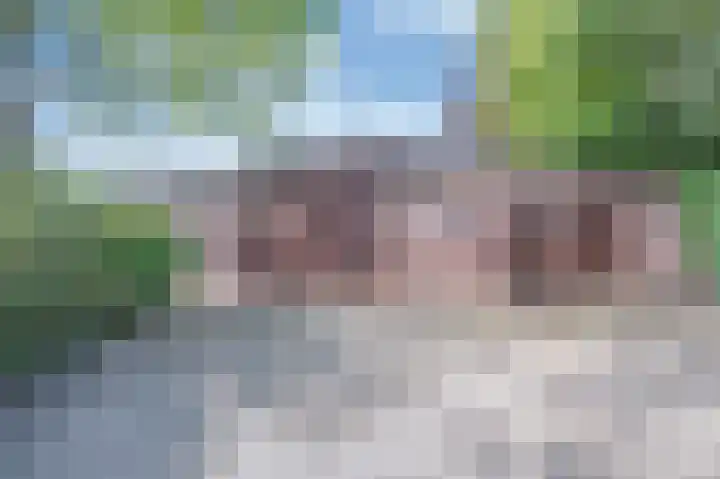 Sint Maartenstraat 10 Zegge thumbnail 8