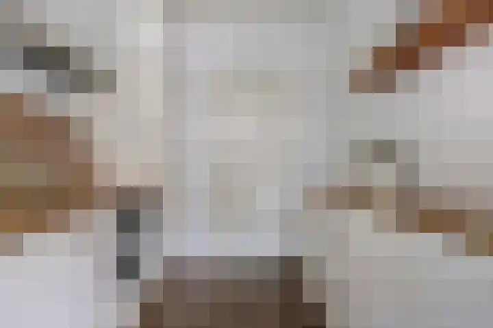 Sint Maartenstraat 11 Gendt thumbnail 10