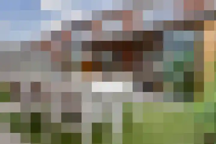 Sint Maartenstraat 11 Gendt thumbnail 18