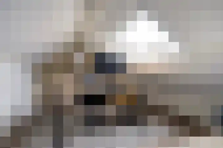 Sint Maartenstraat 11 Gendt thumbnail 38