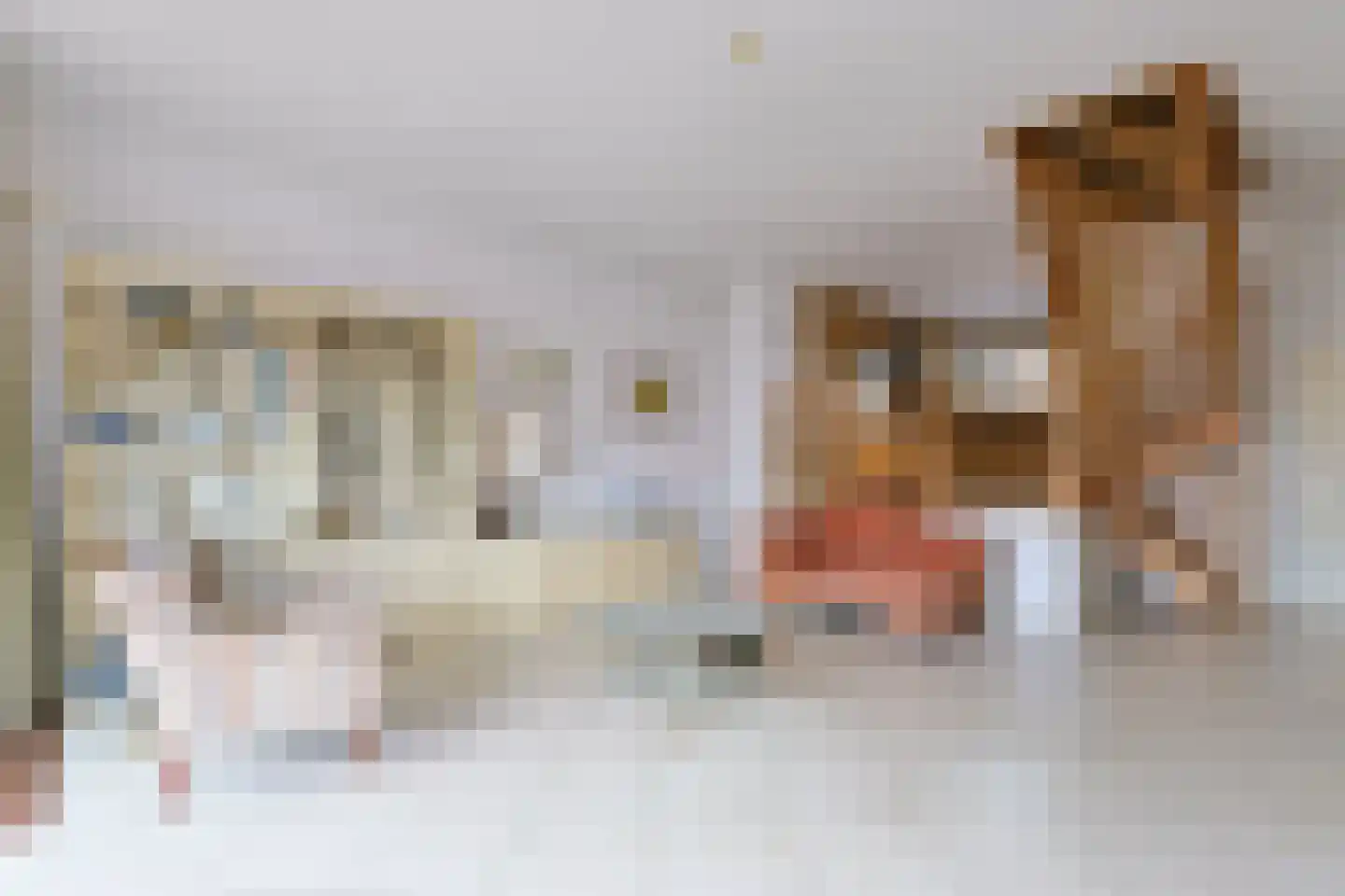 Sint Maartenstraat 12 Alphen aan den Rijn thumbnail 12