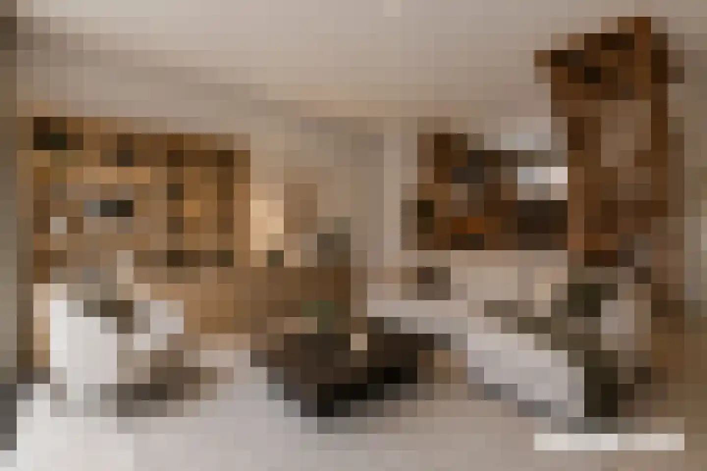 Sint Maartenstraat 12 Alphen aan den Rijn thumbnail 13