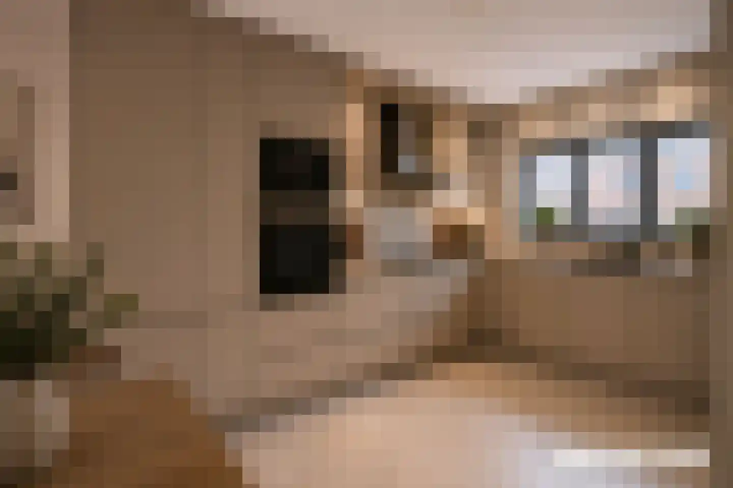 Sint Maartenstraat 12 Alphen aan den Rijn thumbnail 18