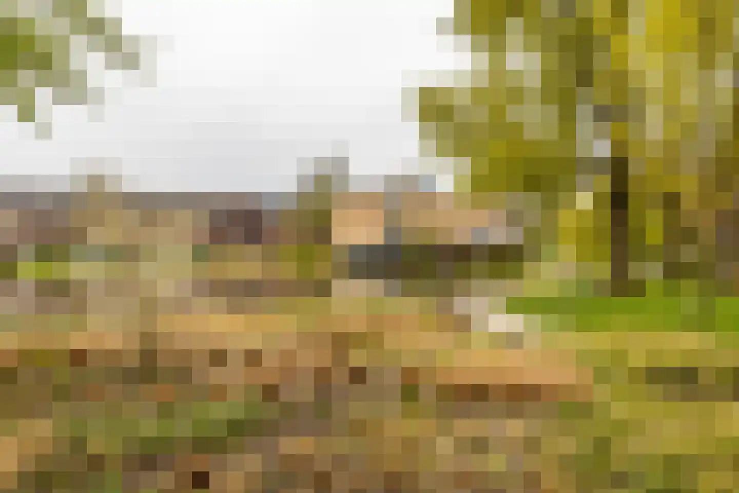 Sint Maartenstraat 21 Groningen thumbnail 31