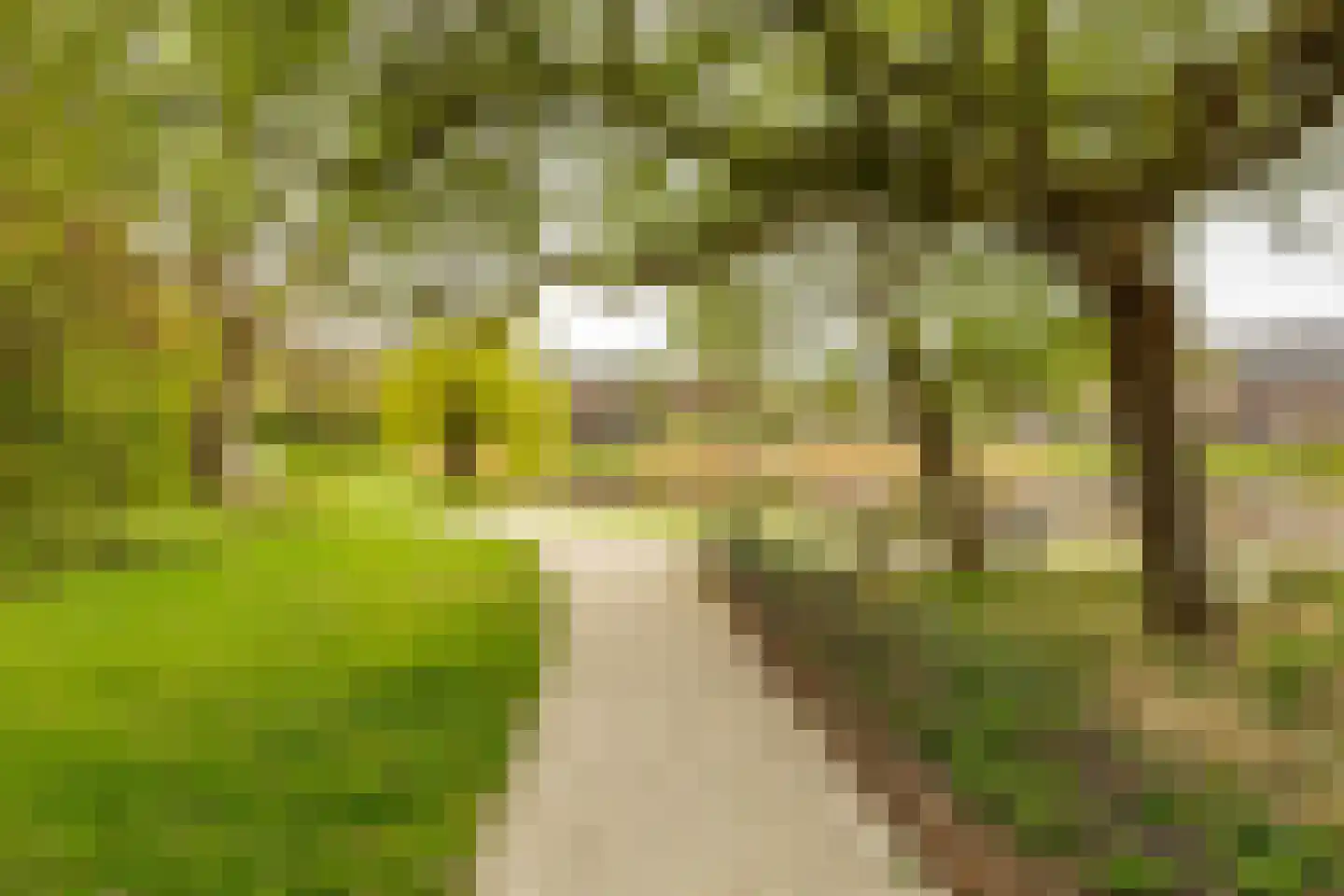 Sint Maartenstraat 21 Groningen thumbnail 32