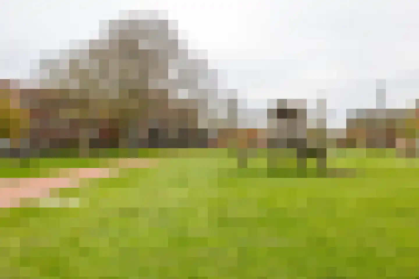 Sint Maartenstraat 21 Groningen thumbnail 33