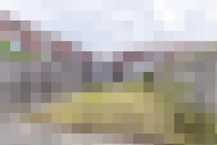 Sint Maartenstraat 25 Groningen thumbnail 18