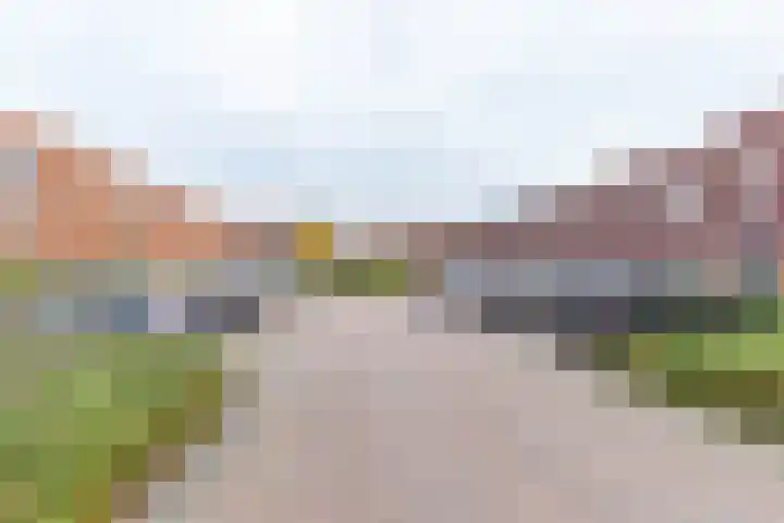 Sint Maartenstraat 25 Groningen thumbnail 5