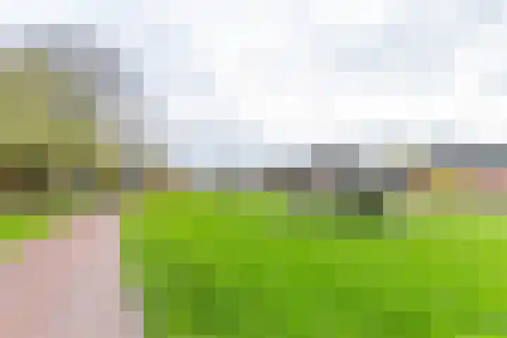 Sint Maartenstraat 25 Groningen thumbnail 6