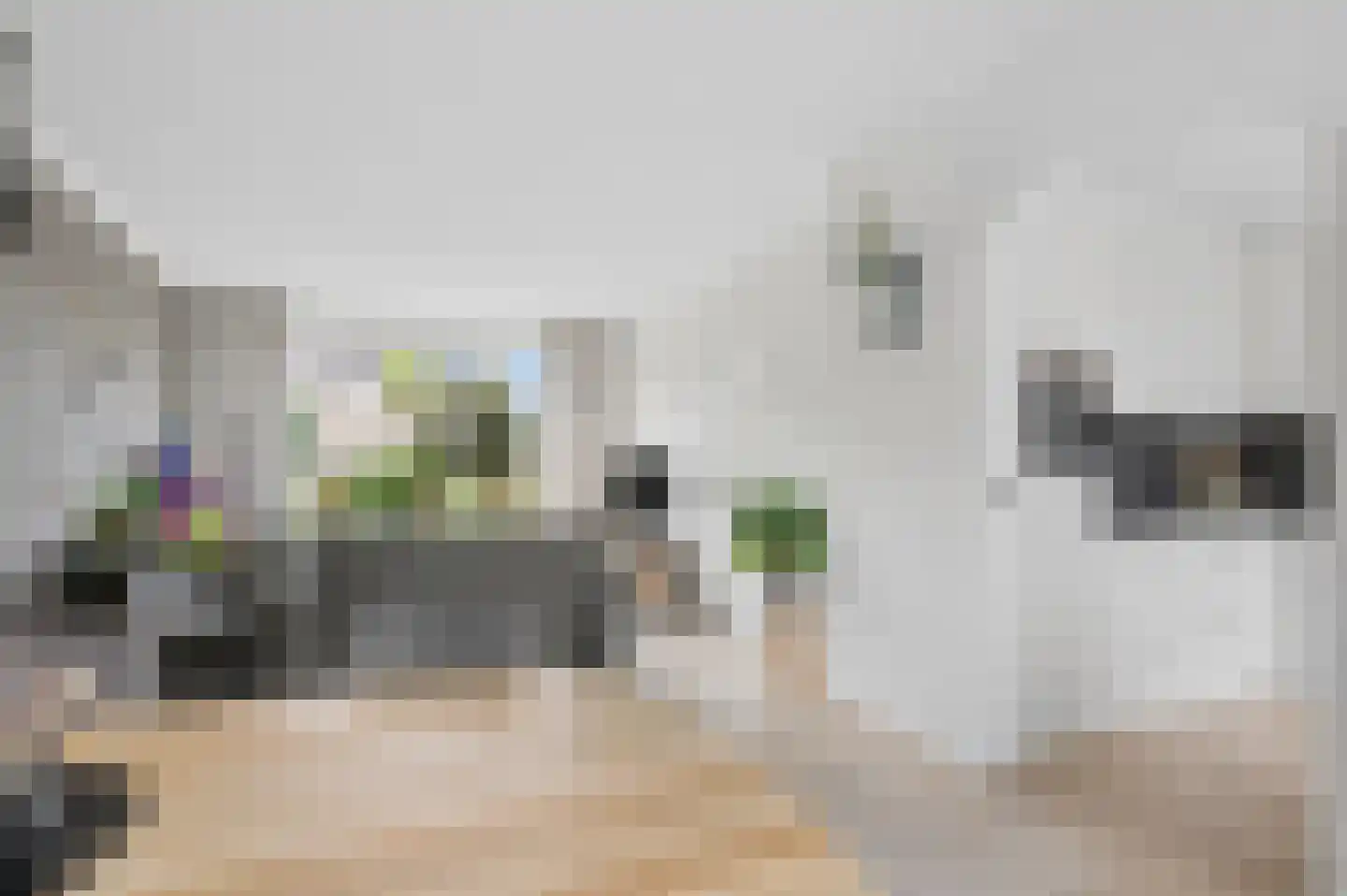Sint Maartenstraat 28 Doornenburg thumbnail 14