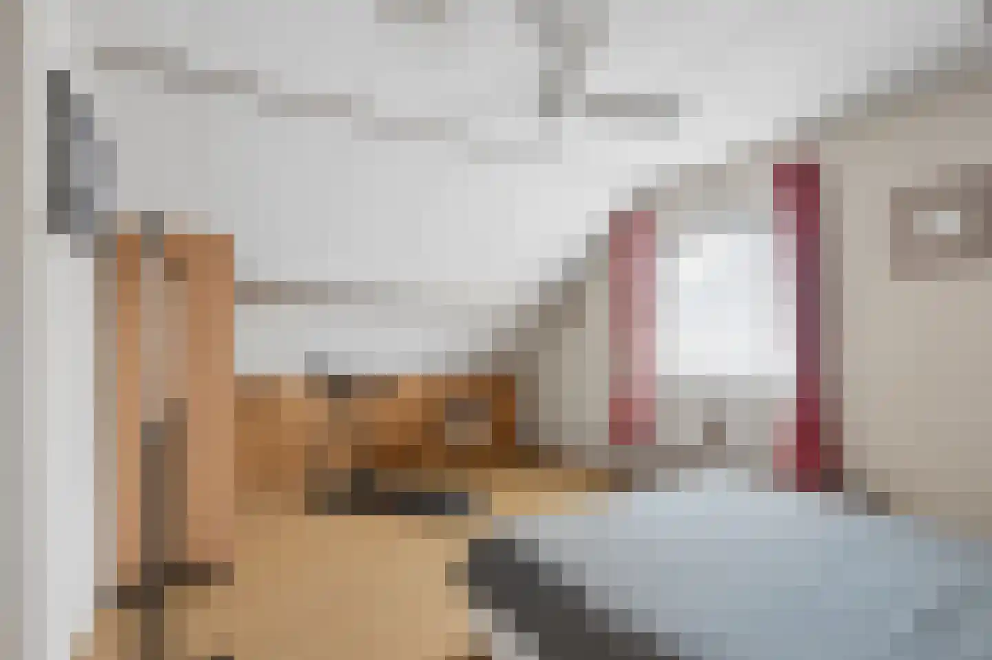 Sint Maartenstraat 28 Doornenburg thumbnail 30
