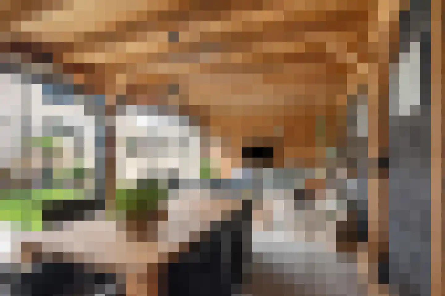 Sint Maartenstraat 28 Doornenburg thumbnail 38