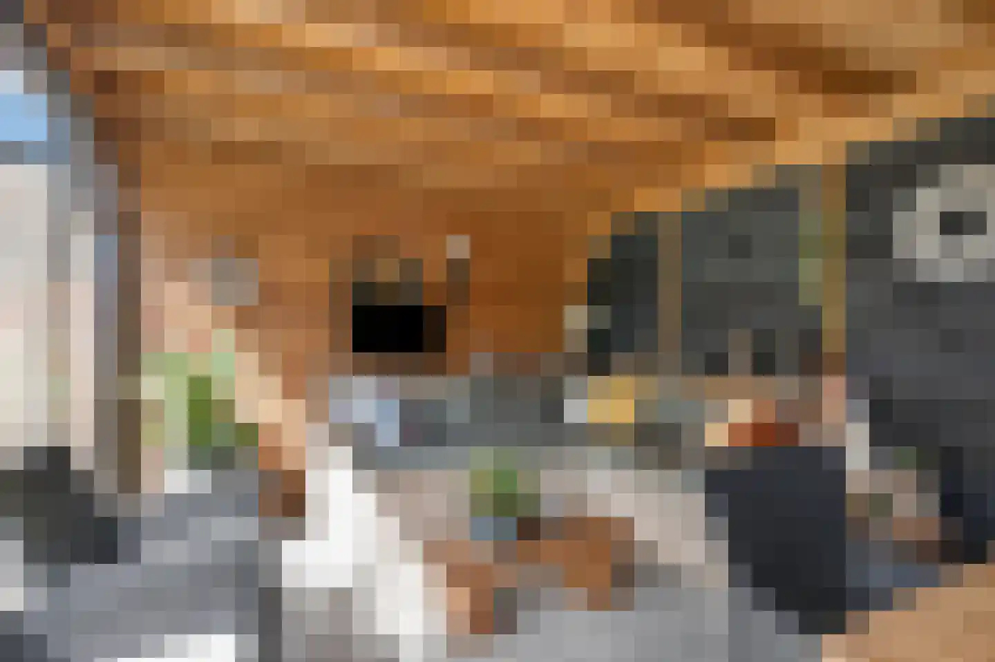 Sint Maartenstraat 28 Doornenburg thumbnail 39