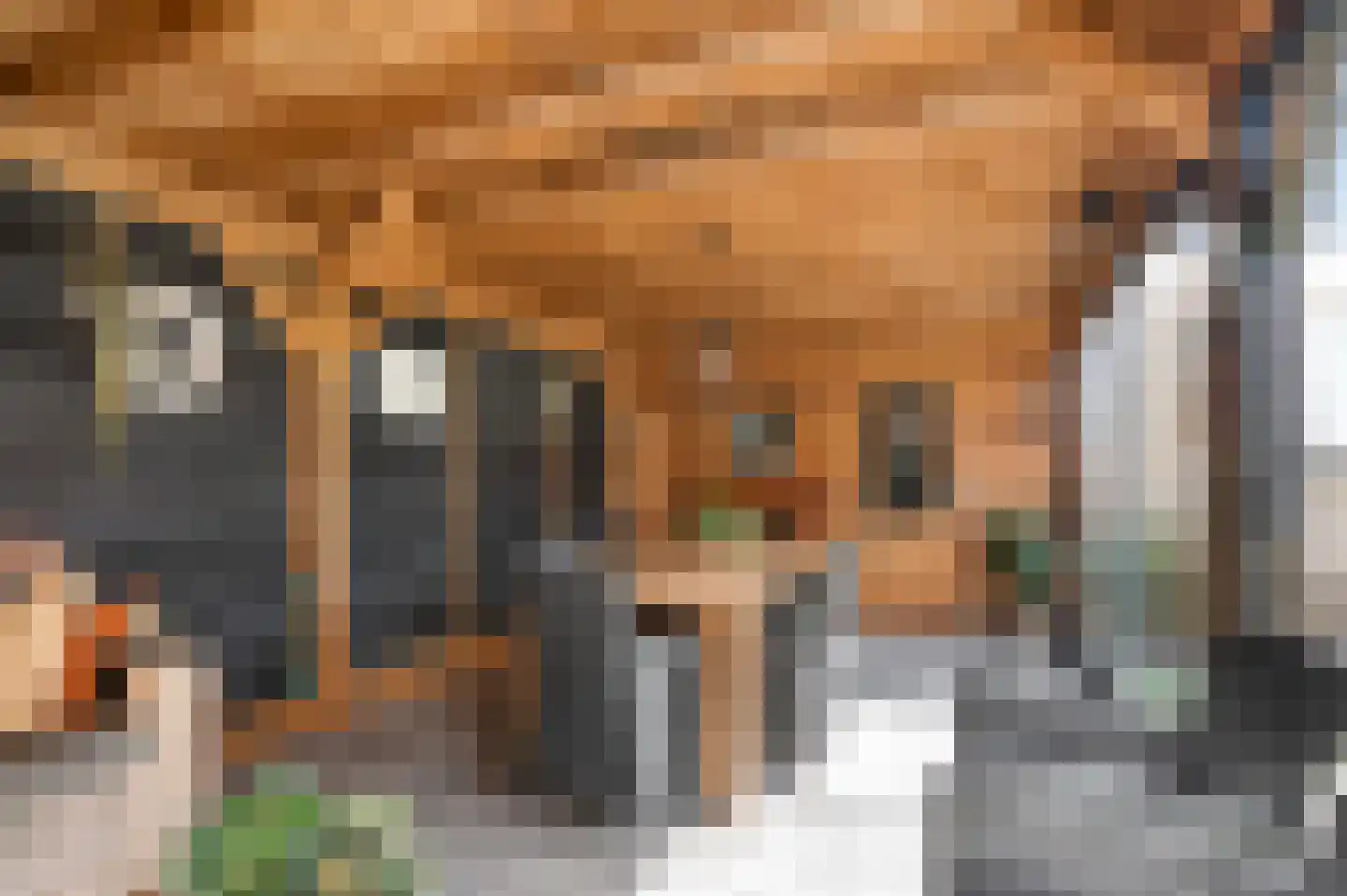 Sint Maartenstraat 28 Doornenburg thumbnail 40