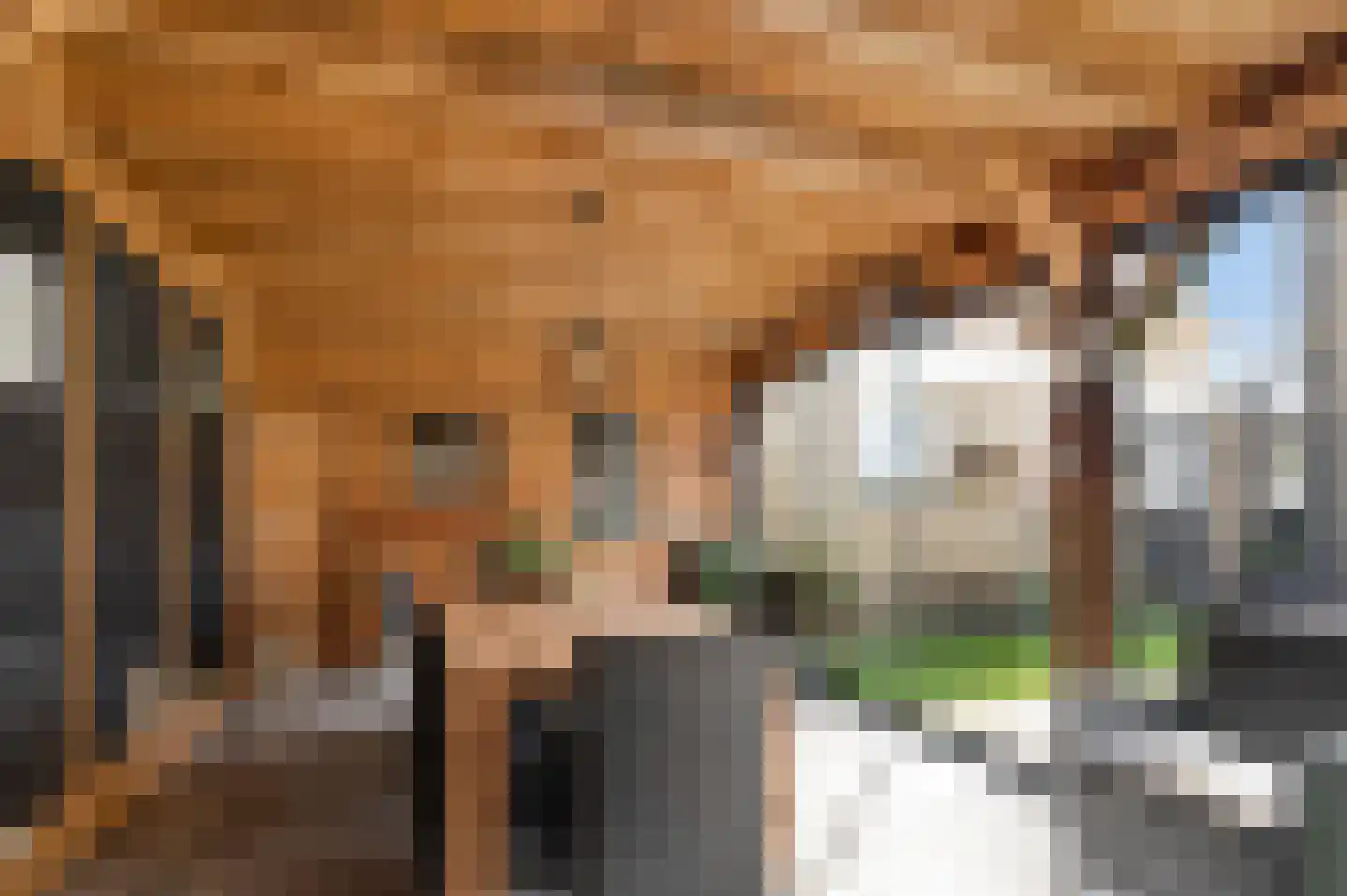 Sint Maartenstraat 28 Doornenburg thumbnail 41