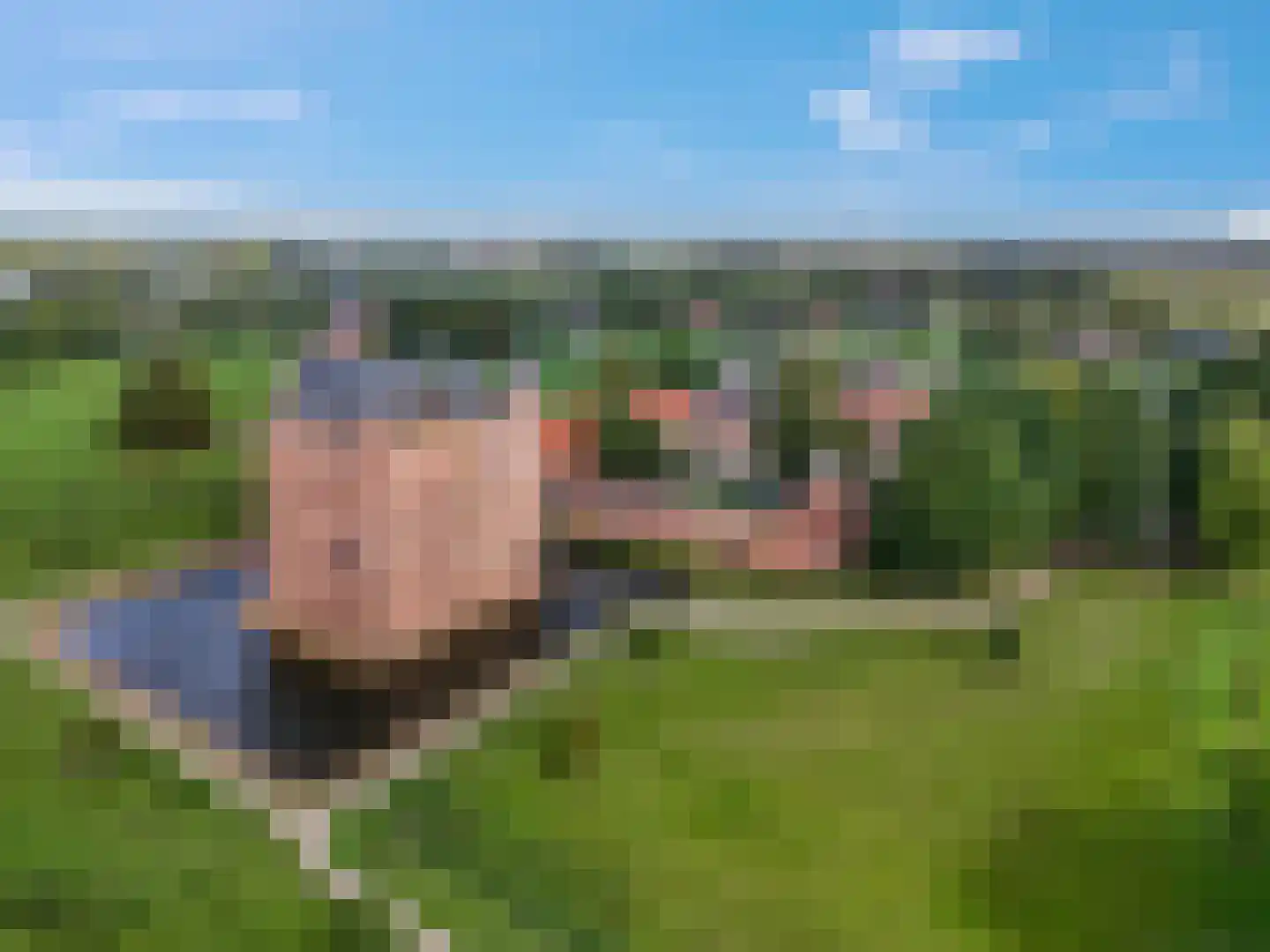 Sint Maartenstraat 28 Doornenburg thumbnail 47