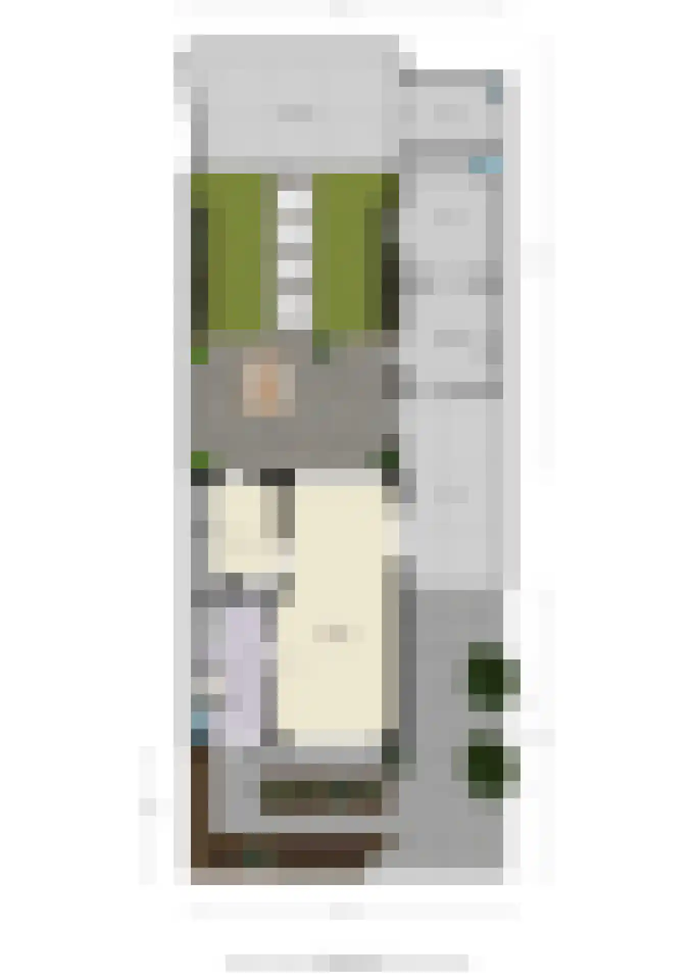 Sint Maartenstraat 28 Doornenburg thumbnail 51