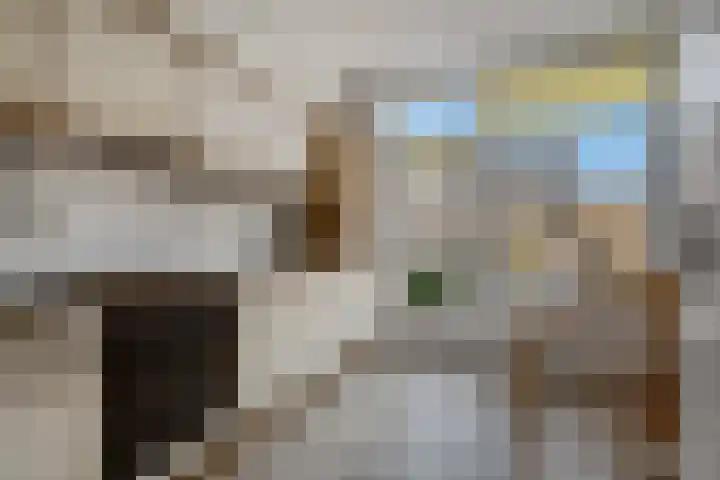 Sint Maartenstraat 31 Doornenburg thumbnail 14