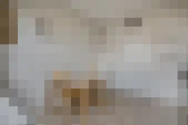 Sint Maartenstraat 31 Doornenburg thumbnail 16
