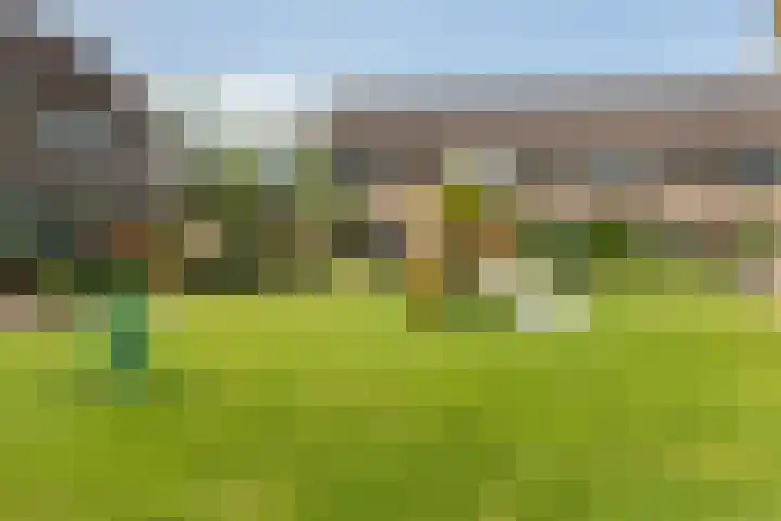 Sint Maartenstraat 31 Doornenburg thumbnail 42