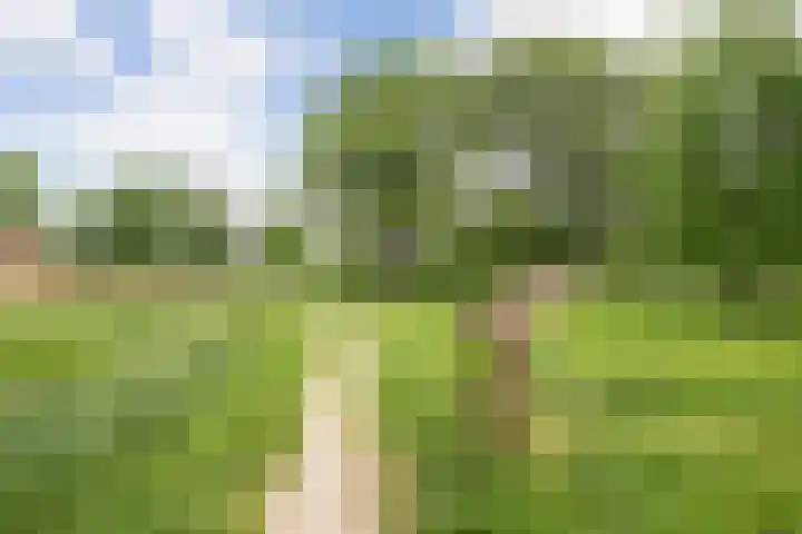 Sint Maartenstraat 31 Doornenburg thumbnail 44