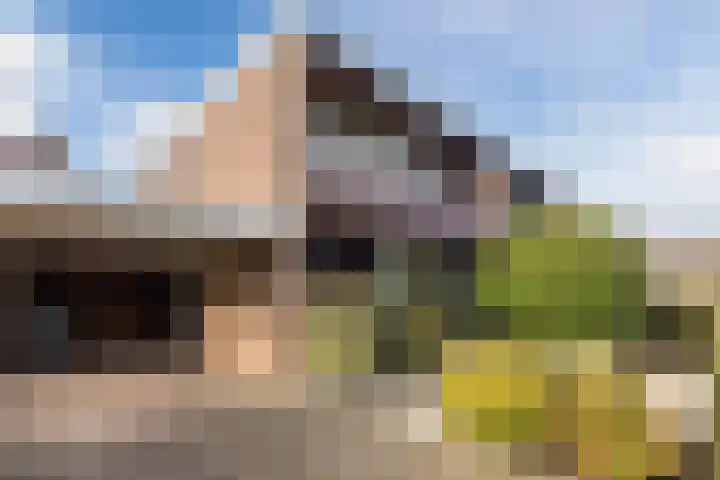 Sint Maartenstraat 37 Gendt thumbnail 7