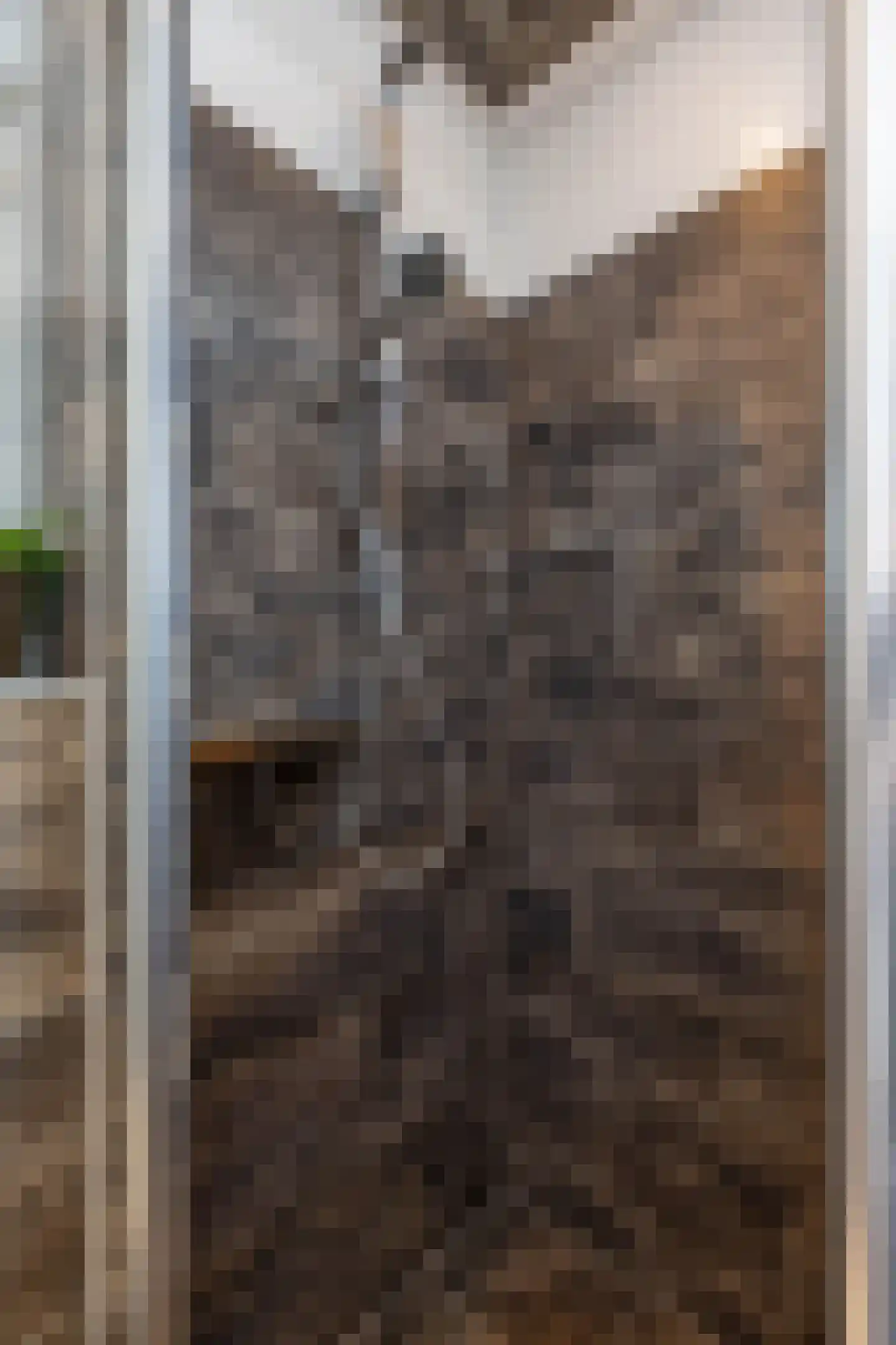 Sint Maartenstraat 41 Groningen thumbnail 32