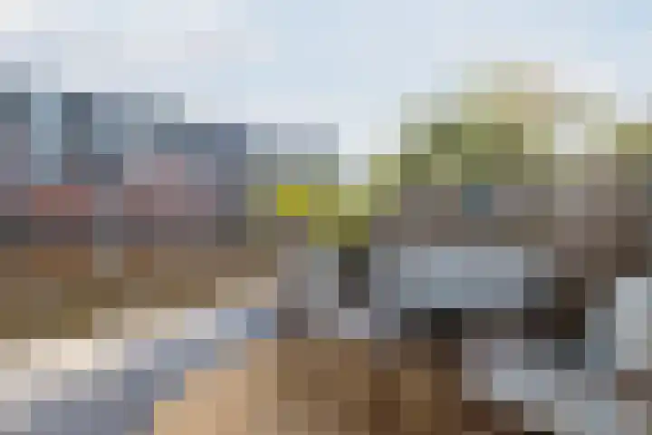Sint Maartenstraat 6 A Alphen aan den Rijn thumbnail 17