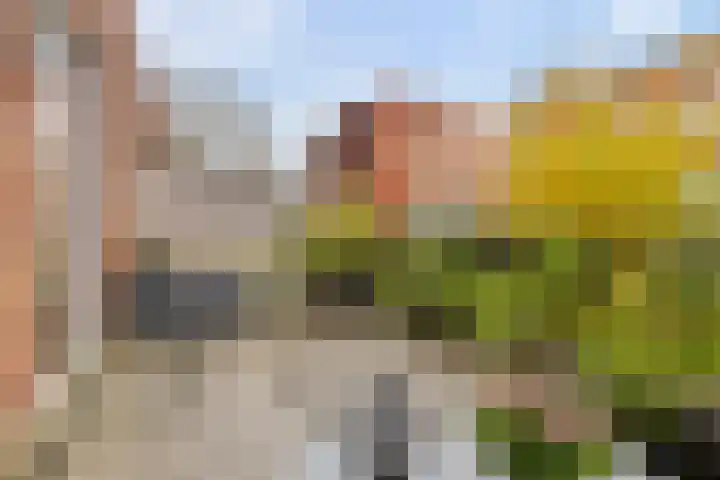 Sint Maartenstraat 70 Groningen thumbnail 22