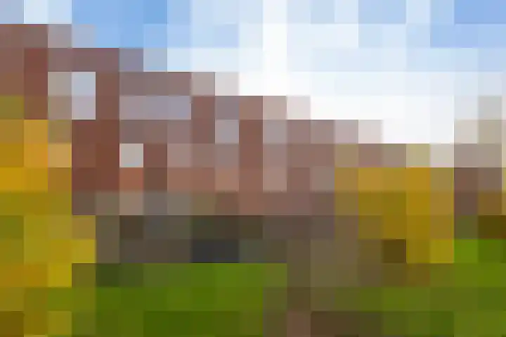 Sint Maartenstraat 70 Groningen thumbnail 39