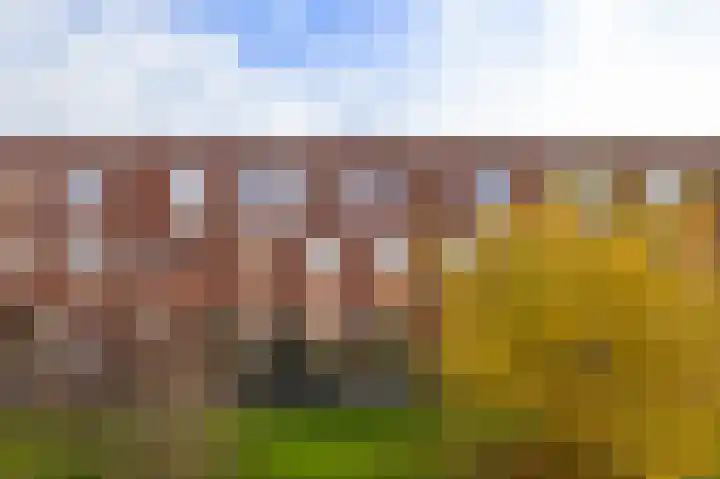 Sint Maartenstraat 70 Groningen thumbnail 40