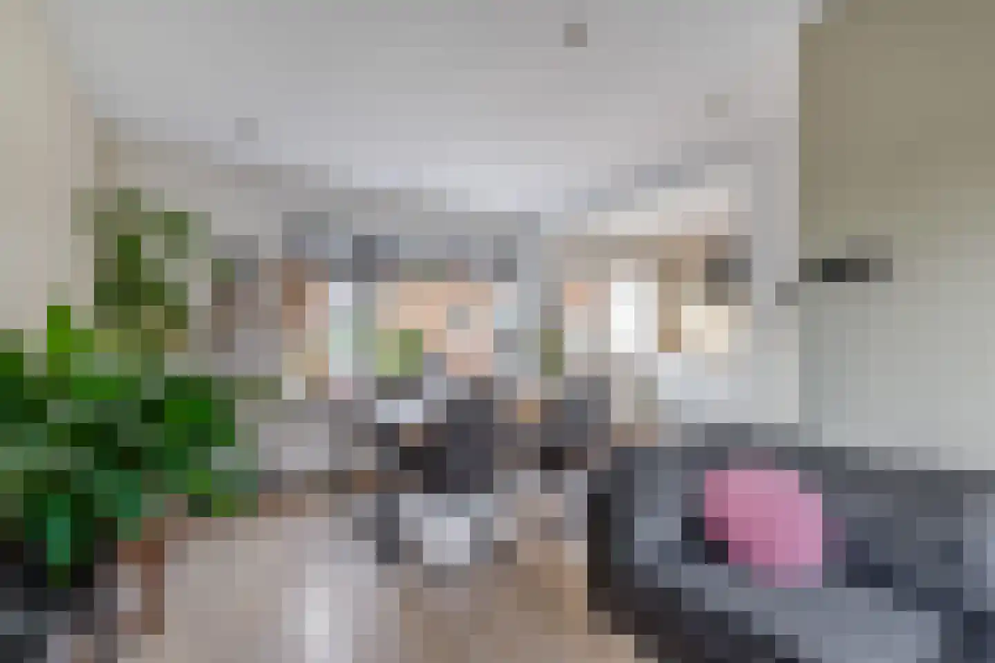 Sint Maartensweg 14 Sint Maartensvlotbrug thumbnail 8