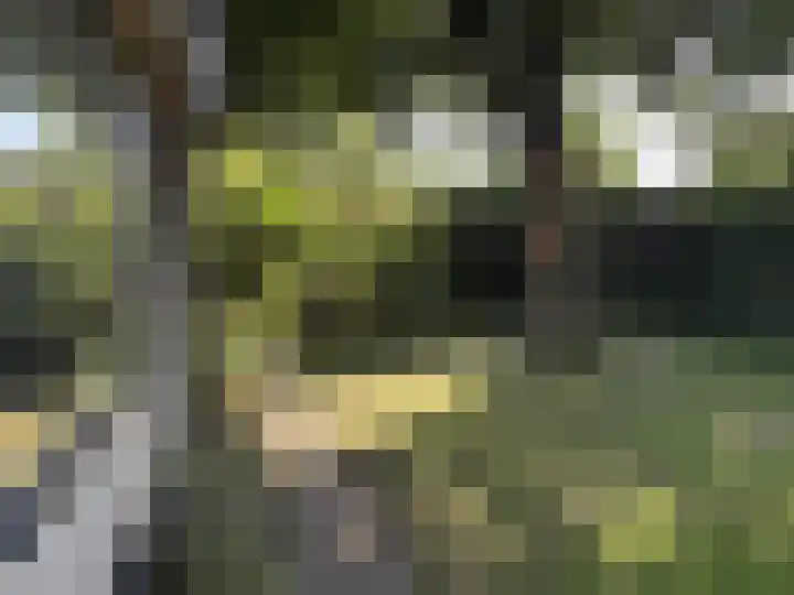 Sint Maartensweg 40 h3 Sint Maartensvlotbrug thumbnail 10