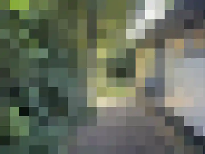 Sint Maartensweg 40 h3 Sint Maartensvlotbrug thumbnail 11
