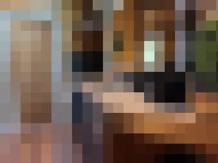 Sint Maartensweg 40 h3 Sint Maartensvlotbrug thumbnail 20