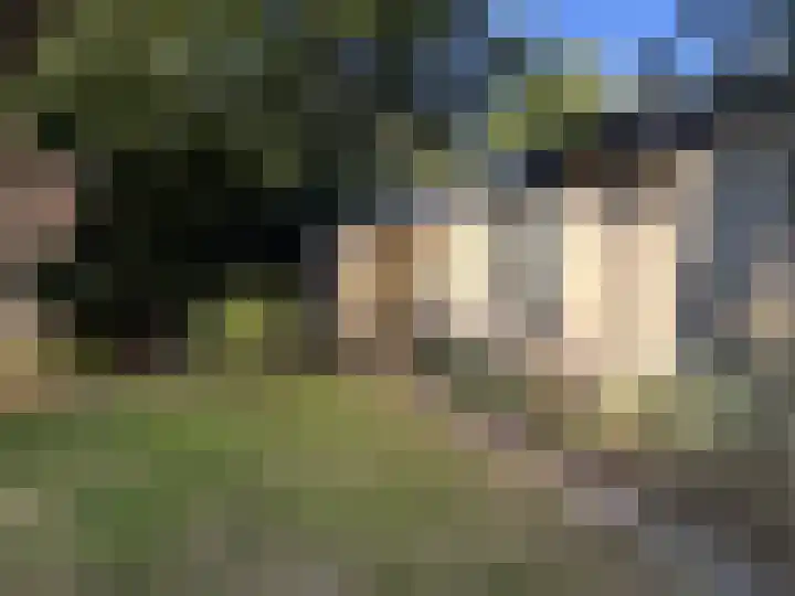 Sint Maartensweg 40 h3 Sint Maartensvlotbrug thumbnail 27