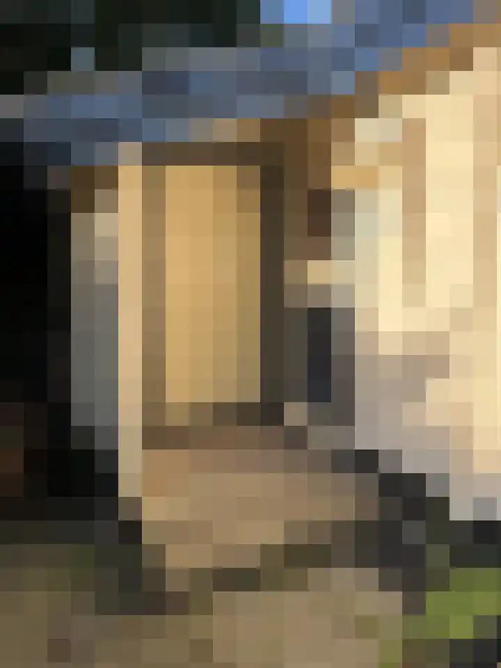 Sint Maartensweg 40 h3 Sint Maartensvlotbrug thumbnail 28