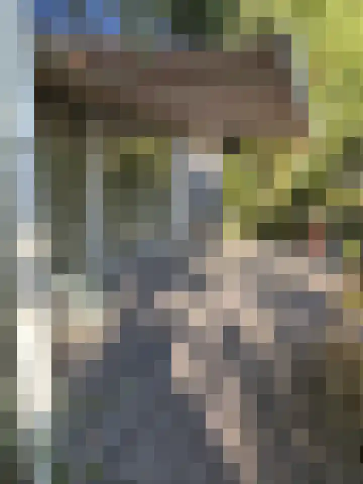 Sint Maartensweg 40 h3 Sint Maartensvlotbrug thumbnail 29