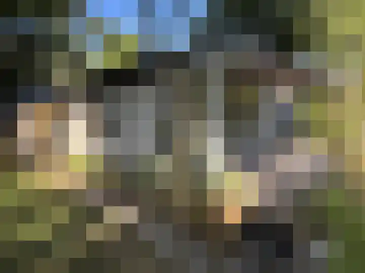Sint Maartensweg 40 h3 Sint Maartensvlotbrug thumbnail 31